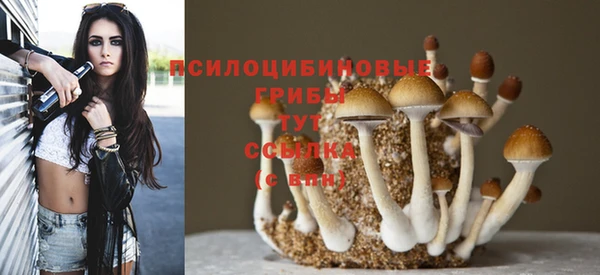 марки nbome Бородино