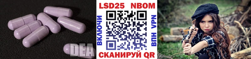 даркнет сайт  Гусев  ЛСД экстази ecstasy 