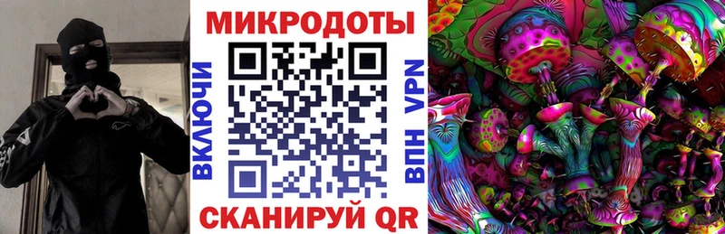 как найти наркотики  Гусев  Псилоцибиновые грибы мухоморы 